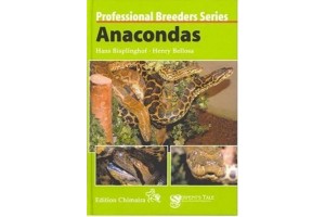 Professional Breeders Series - Anacondas